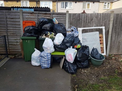 Professional team conducting flat clearance in Turnham Green apartment